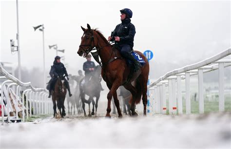 Cheltenham Festival Odds .
